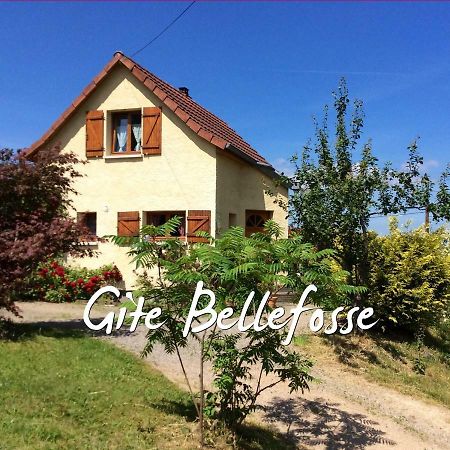 Maison Independante De Montagne En Alsace Bellefosse Екстер'єр фото