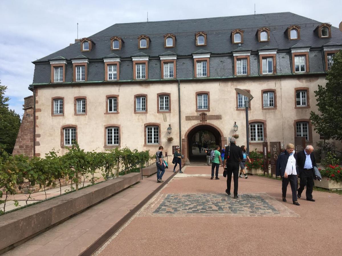 Maison Independante De Montagne En Alsace Bellefosse Екстер'єр фото