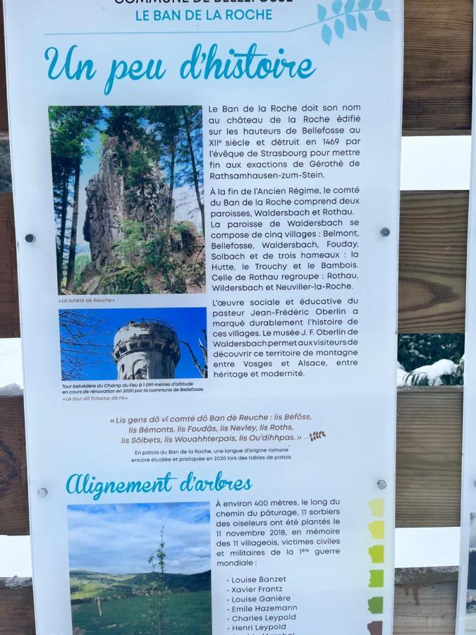 Maison Independante De Montagne En Alsace Bellefosse Екстер'єр фото