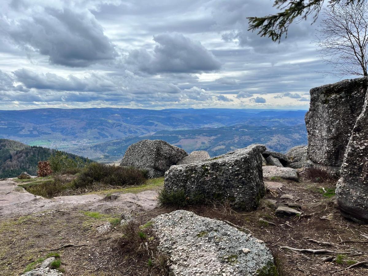 Maison Independante De Montagne En Alsace Bellefosse Екстер'єр фото