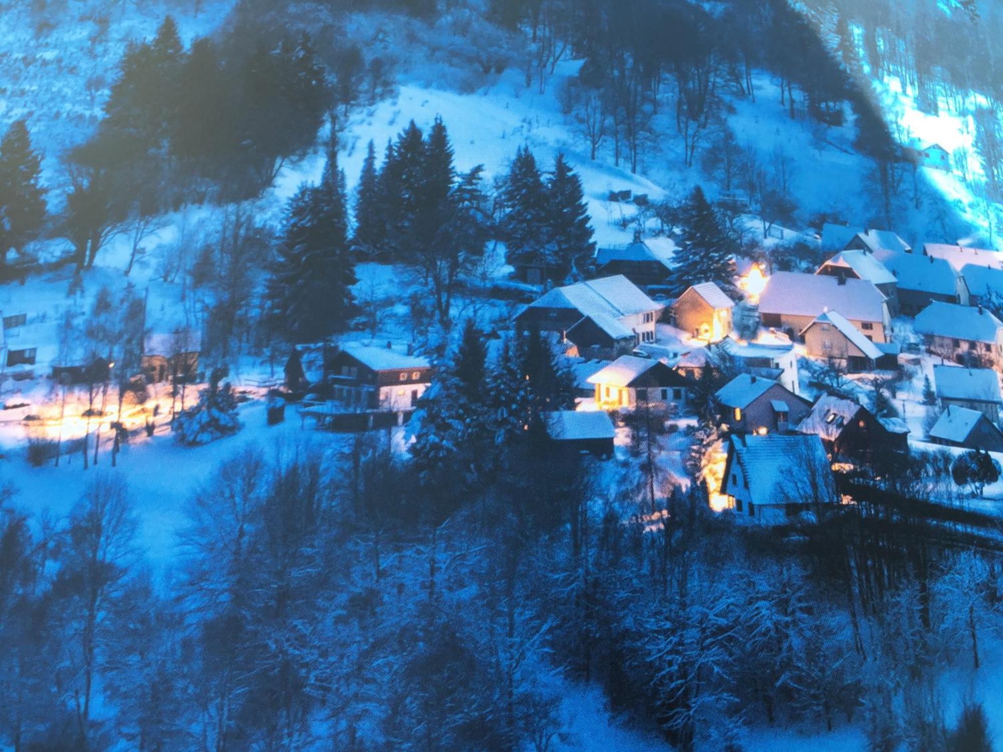 Maison Independante De Montagne En Alsace Bellefosse Екстер'єр фото