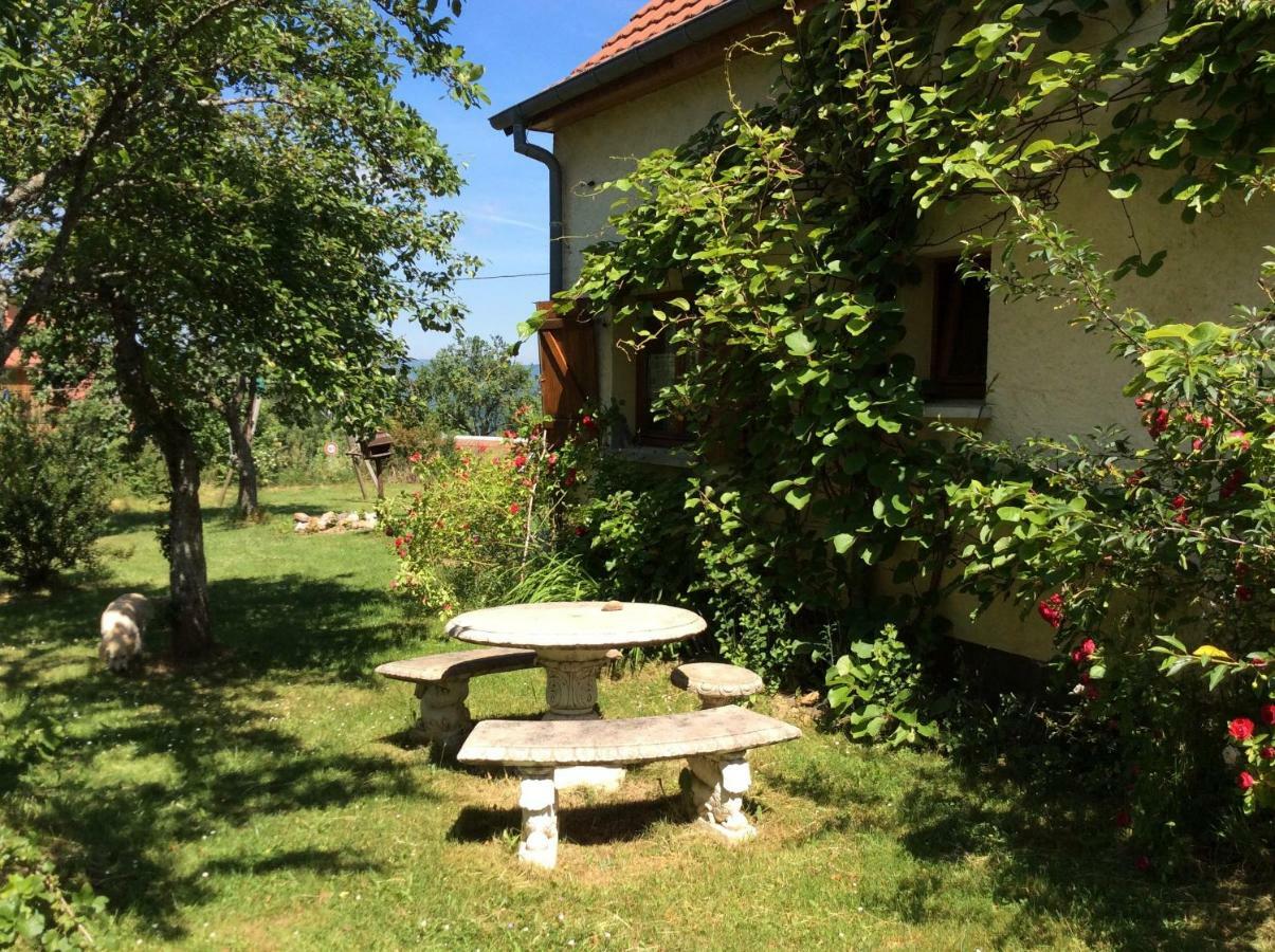 Maison Independante De Montagne En Alsace Bellefosse Екстер'єр фото