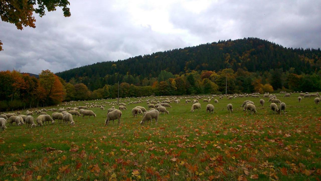 Maison Independante De Montagne En Alsace Bellefosse Екстер'єр фото