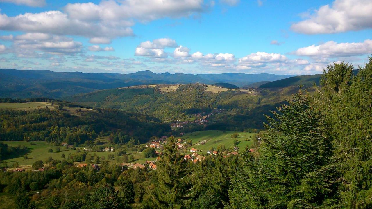 Maison Independante De Montagne En Alsace Bellefosse Екстер'єр фото