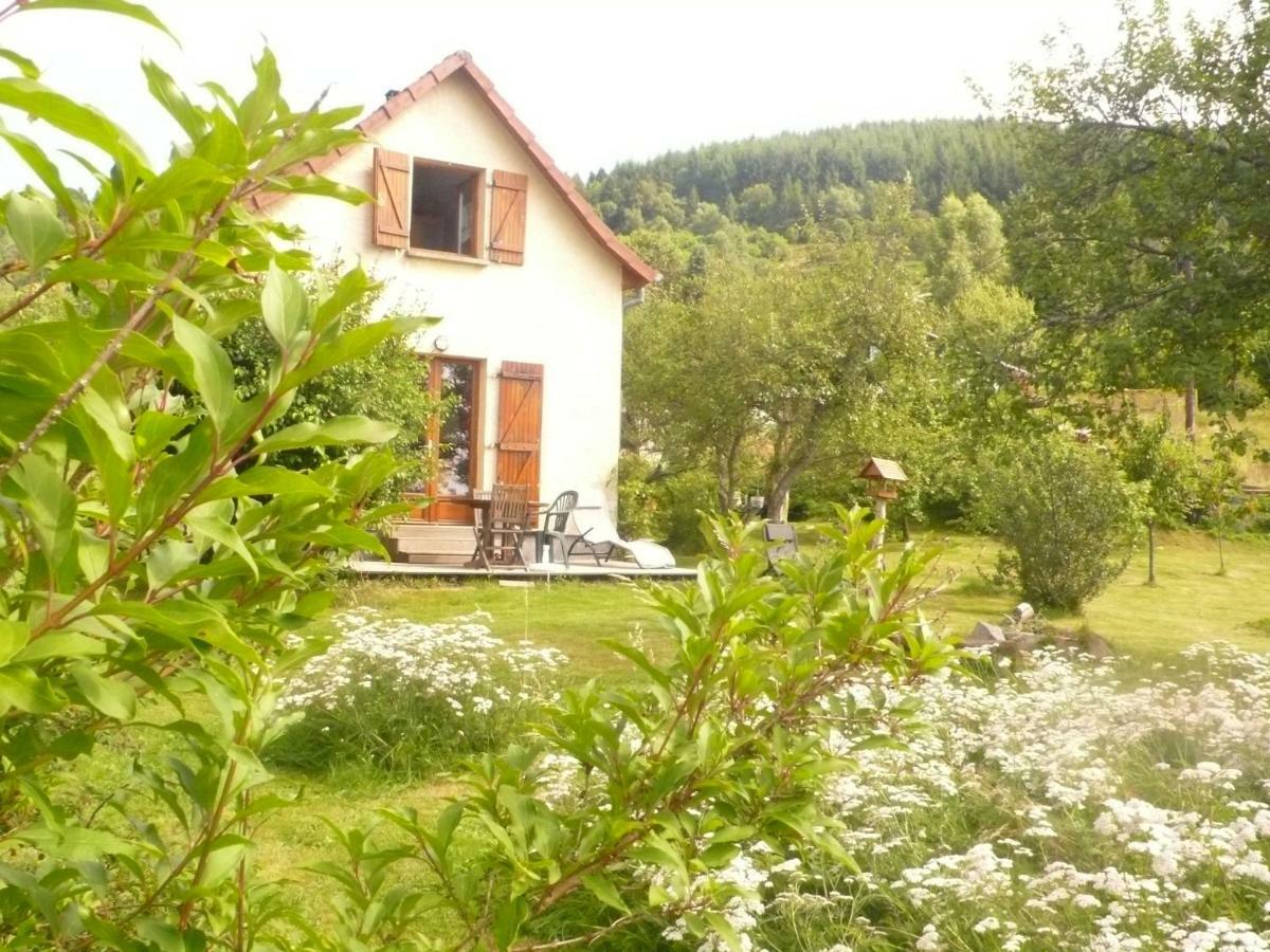 Maison Independante De Montagne En Alsace Bellefosse Екстер'єр фото
