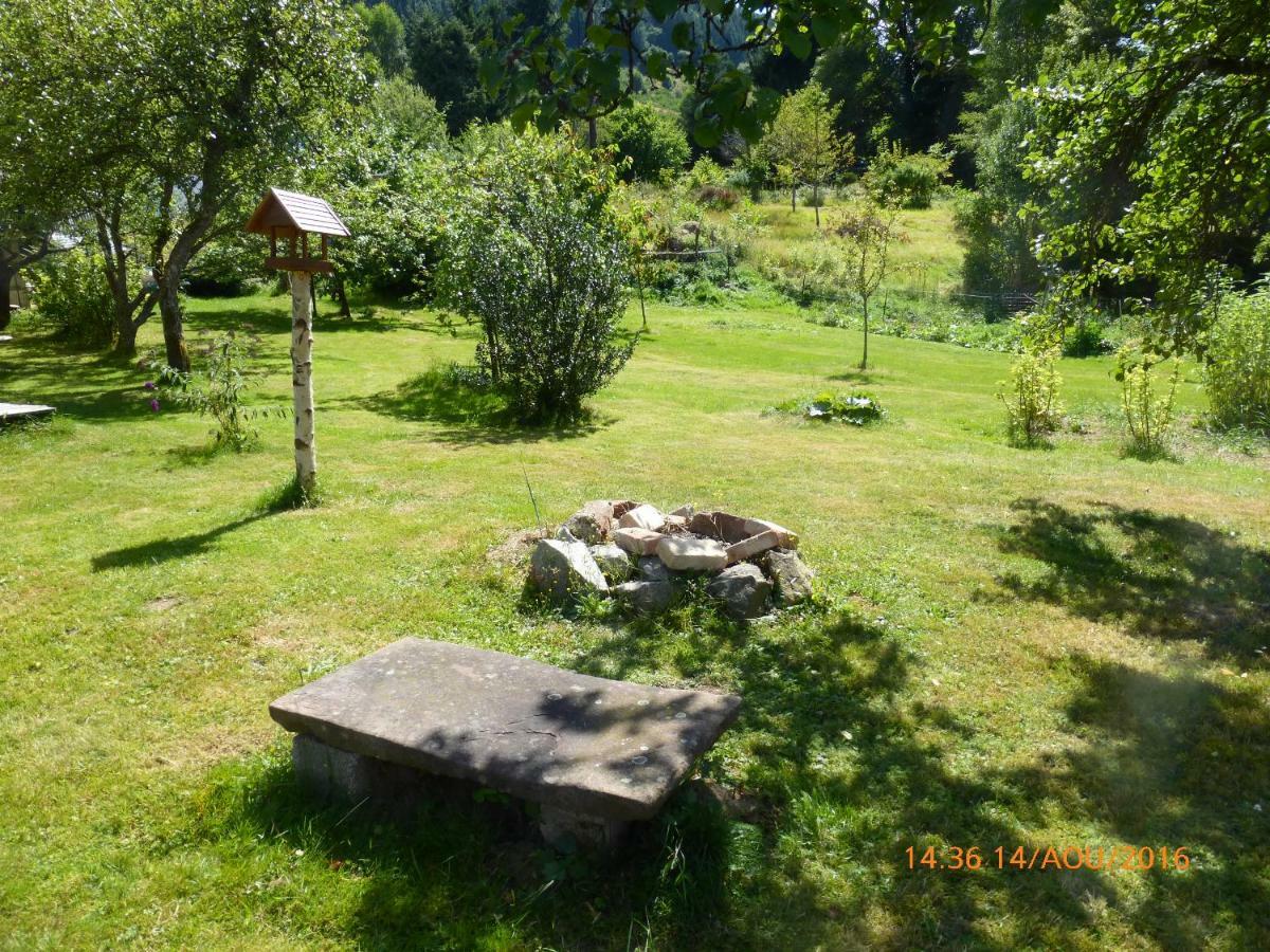 Maison Independante De Montagne En Alsace Bellefosse Екстер'єр фото
