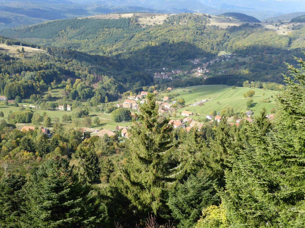 Maison Independante De Montagne En Alsace Bellefosse Екстер'єр фото